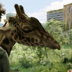Oui, la girafe de The Last of Us était bien une vraie et on vous explique pourquoi ce n'était pas qu'un caprice des créateurs