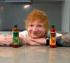 Le chanteur anglais est accusé de plagiat pour son titre "Thinking Out Loud".
Le fan de sauce Ed Sheeran dévoile sa propre gamme de condiments épicés. © Tingly Ted's/JLPPA/Bestimage