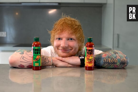Le chanteur anglais est accusé de plagiat pour son titre "Thinking Out Loud".
Le fan de sauce Ed Sheeran dévoile sa propre gamme de condiments épicés. © Tingly Ted's/JLPPA/Bestimage