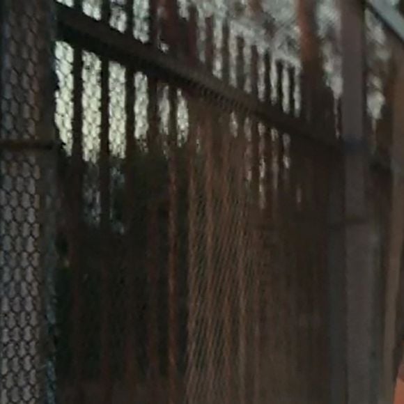 Les images du clip-vidéo de "Flowers" avec Miley Cyrus.