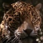 A ne pas manquer ce soir : ce film qui a dû changer de titre et d'acteur principal au dernier moment