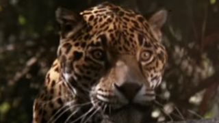A ne pas manquer ce soir : ce film qui a dû changer de titre et d'acteur principal au dernier moment