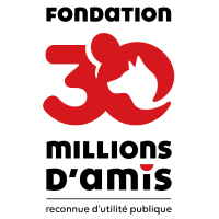 Fondation 30 Millions d'Amis : quels sont ses combats et actions en faveur des animaux ?