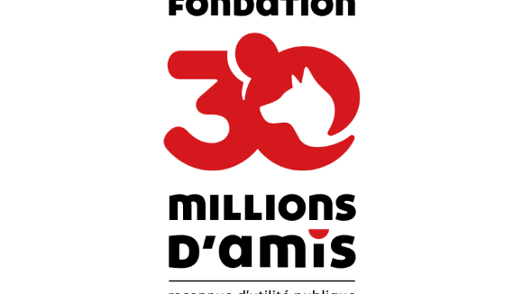 Fondation 30 Millions d'Amis : quels sont ses combats et actions en faveur des animaux ?
