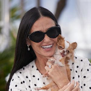 Quand The Substance a été projeté sur la Croisette, on a pu lire sur Twitter une blinde de compliments vrillant à l'euphorie.
Demi Moore - Photocall du film "The Substance" lors du 77ème Festival International du Film de Cannes le 20 mai 2024. Moreau-Jacovides/Bestimage