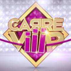 Carré Viiip ... l’after présentée par Elsa Fayer