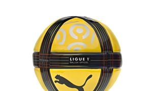 31eme journée de Ligue 1 ... PSG / Lyon et deux matchs ce soir