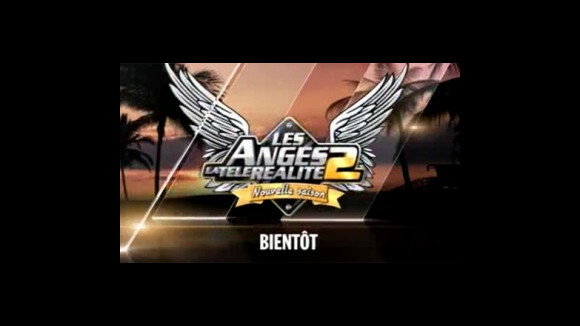 Les Anges de la télé réalité 2 ... le casting complet