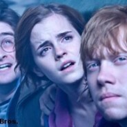 Harry Potter et les Reliques de la Mort partie 2 ... le jeu La Quête continue