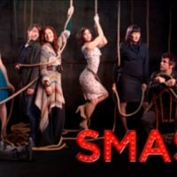 Mercato des séries ... TF1 achète Smash, Perso of Interest et Alcatraz