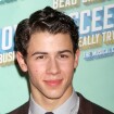 Nick Jonas : il drague Ashley Greene, l'ex de son frère Joe !