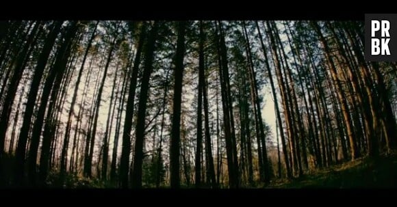 House at the end of the street : peur dans la forêt