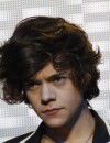 Harry Styles des One Direction super sexy