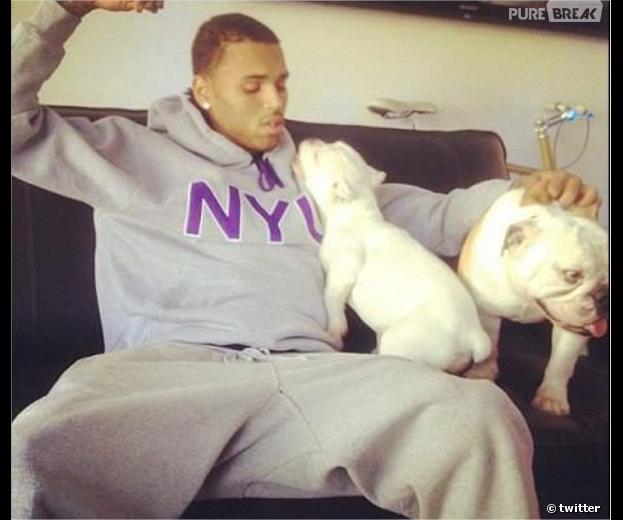 Chris Brown en compagnie de ses petits chiots, trop mignon !