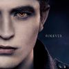 Edward Cullen dans le dernier chapitre de Twilight
