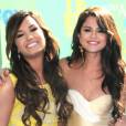 Selena Gomez et Demi Lovato sont moins proches !