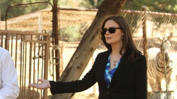 Bones saison 8 : Brennan présidente et trafic d'animaux dans l'épisode 4 ! (VIDEO)