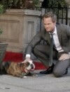 Barney à la recherche du chien parfait !