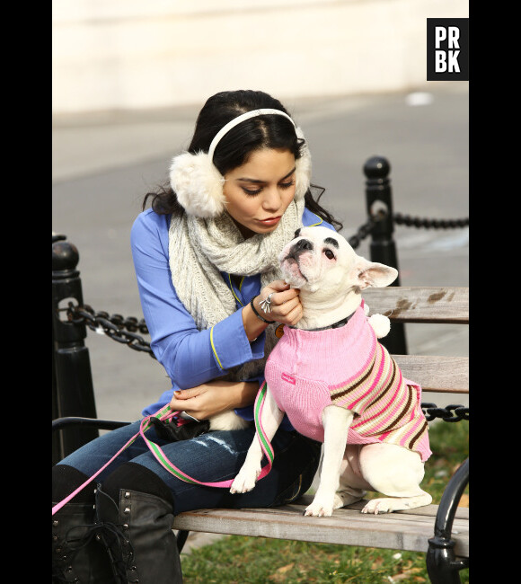 Les chiens de Vanessa Hudgens aussi stylés qu'elle !