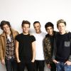 One Direction : L'un d'eux pourrait plaire à Sel' selon la rumeur
