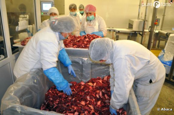 Le scandale de la viande de cheval s'étend à toute l'Europe et toutes les marques