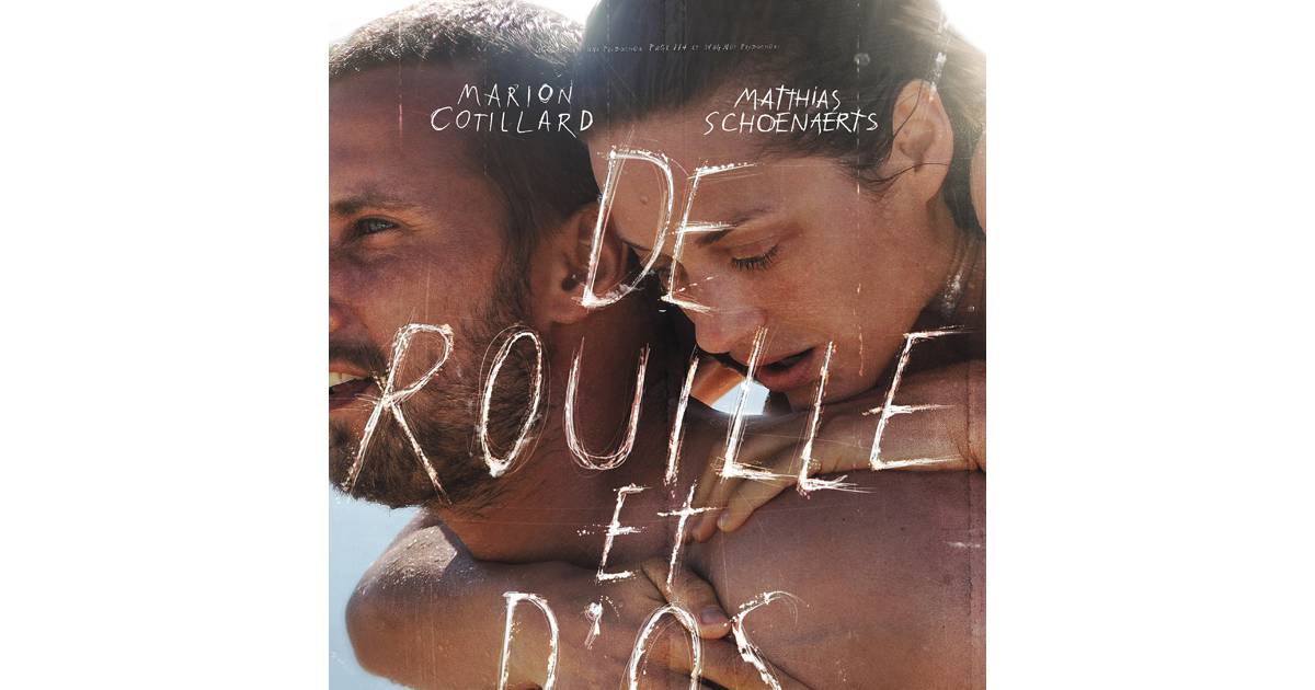 De Rouille et D'Os a remporté 4 César en 2013 - Purebreak