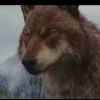 Honest Trailer de Twilight 5 : des loups-garous "so british"