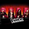 Samedi dernier, le premier direct de The Voice 2 a débarqué sur TF1 avec les 20 premiers talents.