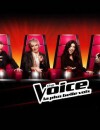 La grande finale de The Voice 2 aura lieu samedi.