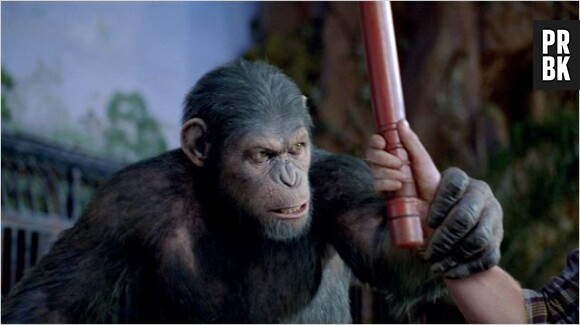 L'Aube de la Planète des Singes aura un tout nouveau casting