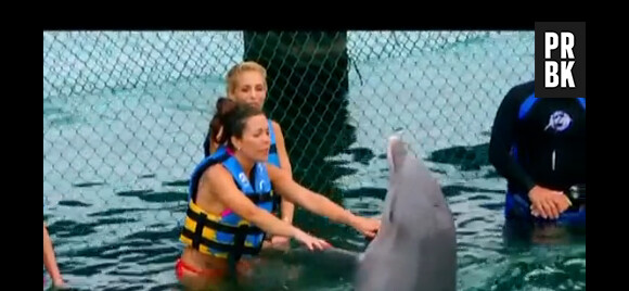 Les Marseillais à Cancun nagent avec les dauphins