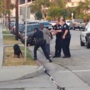 La vidéo choquante d&#039;un chien abattu par un policier américain crée l&#039;émoi sur YouTube