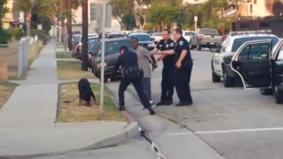 La vidéo choquante d'un chien abattu par un policier américain crée l'émoi sur YouTube