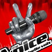 The Voice, Les Anges de la Télé-réalité 5, Secret Story... : top 50 des émissions les plus populaires sur Twitter