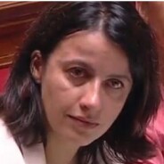 Cécile Duflot en larmes à l&#039;Assemblée après le tweet polémique de son compagnon