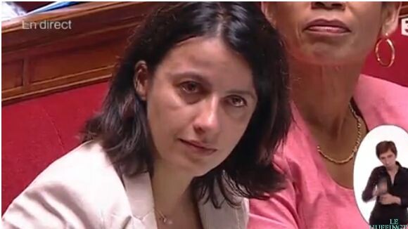 Cécile Duflot en larmes à l'Assemblée après le tweet polémique de son compagnon
