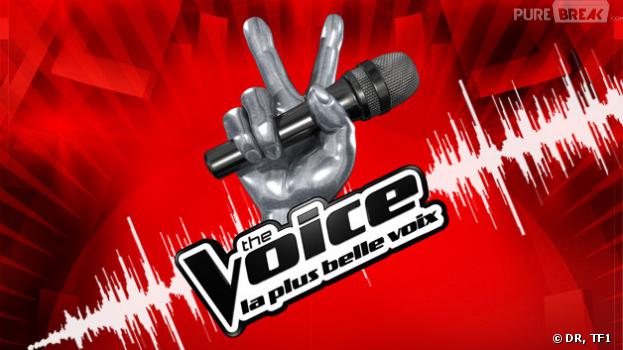 The Voice Kids : lancé enmars 2014 sur TF1