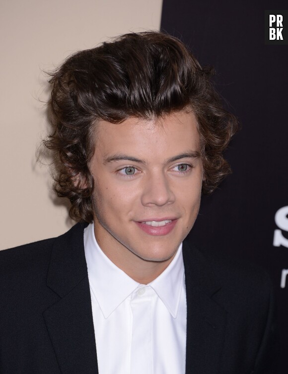 One Direction : les dessins d'Harry Styles ont été copiés