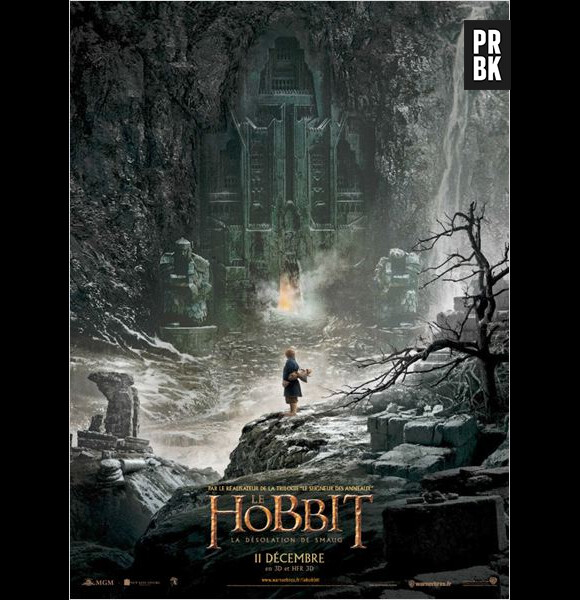 "Le Hobbit : la désolation de Smaug", l'affiche