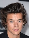 Harry Styles : en 2023, le One Direction fera carrière en solo