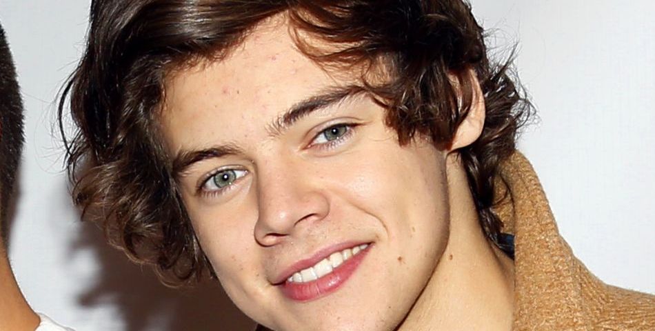 Harry Styles : une carrière en solo dans le hardrock ?