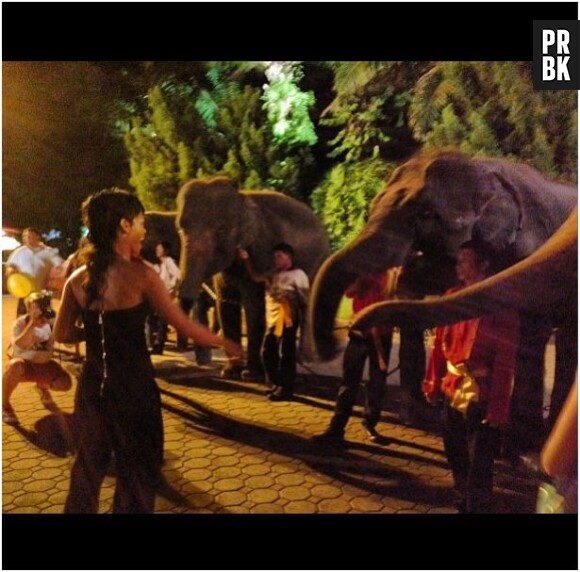 Rihanna face à des éléphants en Thaïlande, au mois de septembre 2013