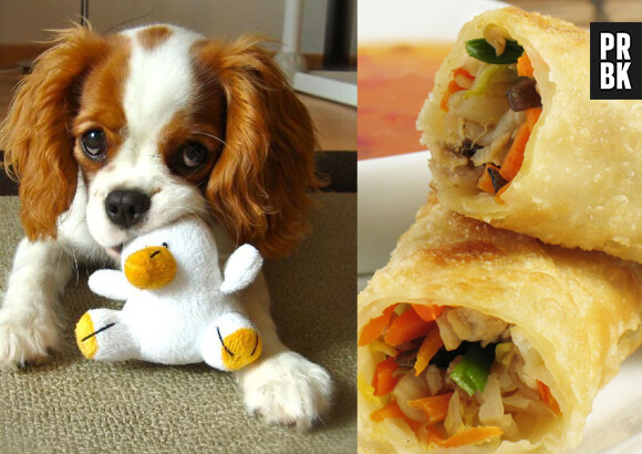 Bons et mignons : le Tumblr avec des animaux "à croquer", littéralement