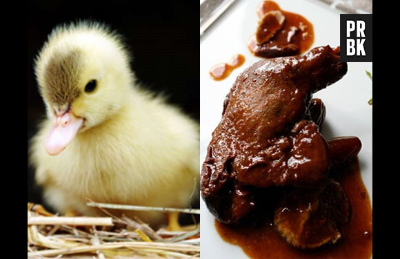 Bons et mignons : le Tumblr avec des animaux "à croquer", littéralement