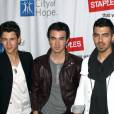 Jonas Brothers : la fin du groupe expliquée