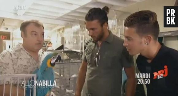 Allo Nabilla : Thomas Vergara et sa mauvaise rencontre avec un perroquet