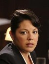 Grey's Anatomy saison 10, épisode 9 : Callie en plein procès