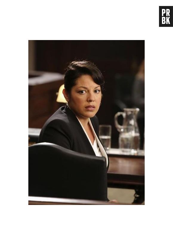 Grey's Anatomy saison 10, épisode 9 : Callie en plein procès
