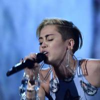 Miley Cyrus n&#039;est pas la personnalité de 2013 : qui a battu la reine du twerk ?