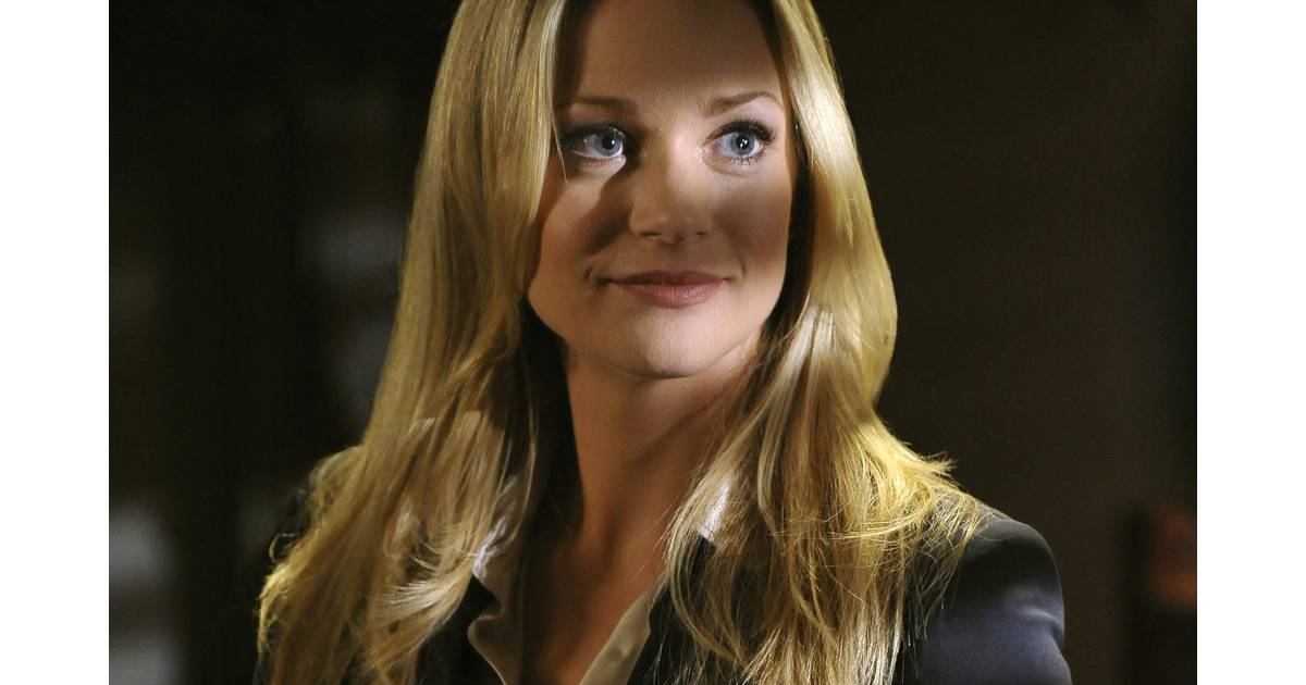 Esprits Criminels saison 9 l'année de JJ Purebreak